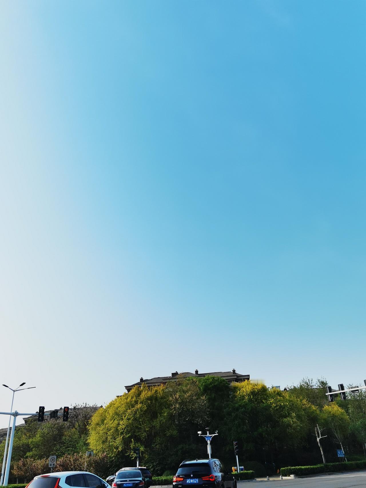 春天真好