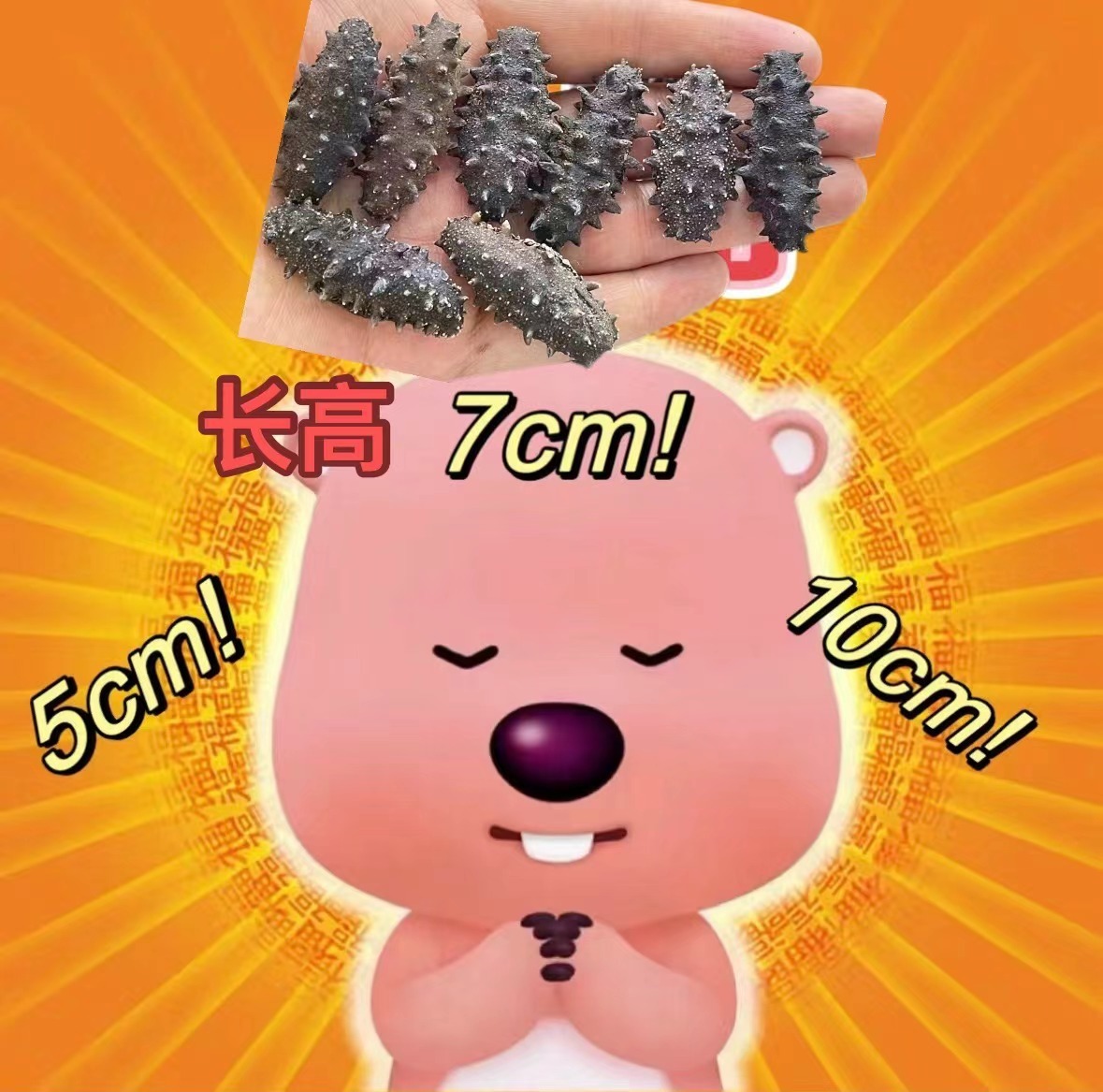 【刺参能长多高，海水说了算！】工业革命以来，大气中二氧化碳水平的上升导致了海洋酸