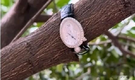 近日，湖南长沙一女子逛公园不慎将价值30多万的手表丢失，6天后再次返回原地与捡拾