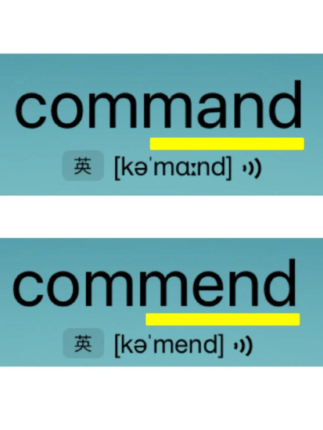 熟悉却记不住的单词“姐妹篇”