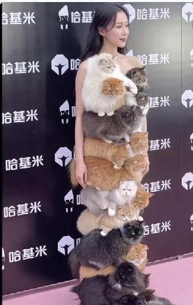 谁不想养一只这样的毛孩子呀
