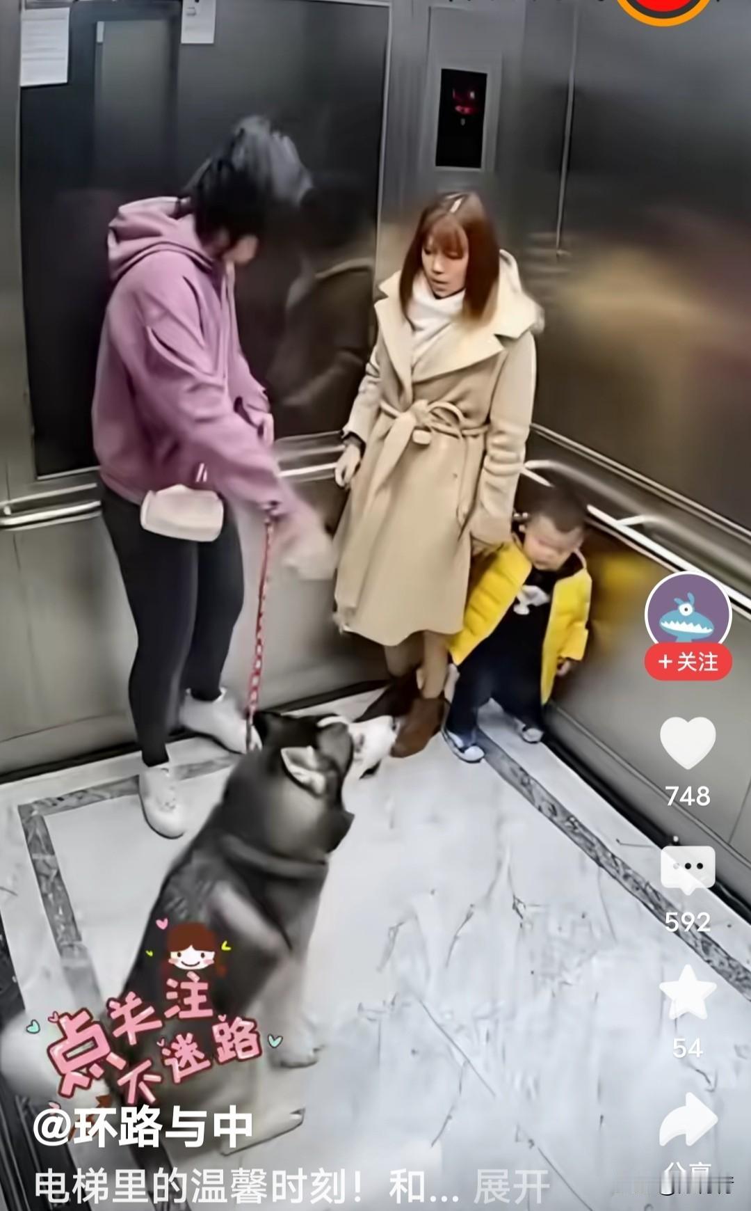 狗吓小孩！电梯里惊魂一刻

红衣牵狗女人进电梯
狗扑小孩、幸亏没咬
吓得小孩赶紧