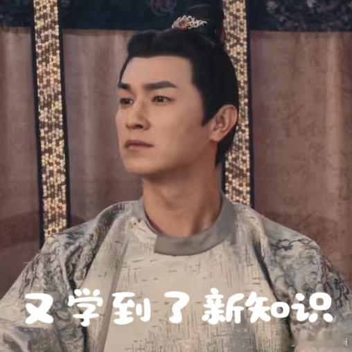 唐诡的细节太见功力了，从自我介绍报家族支系，到社交场合的亲疏远近，处处透着门第偏