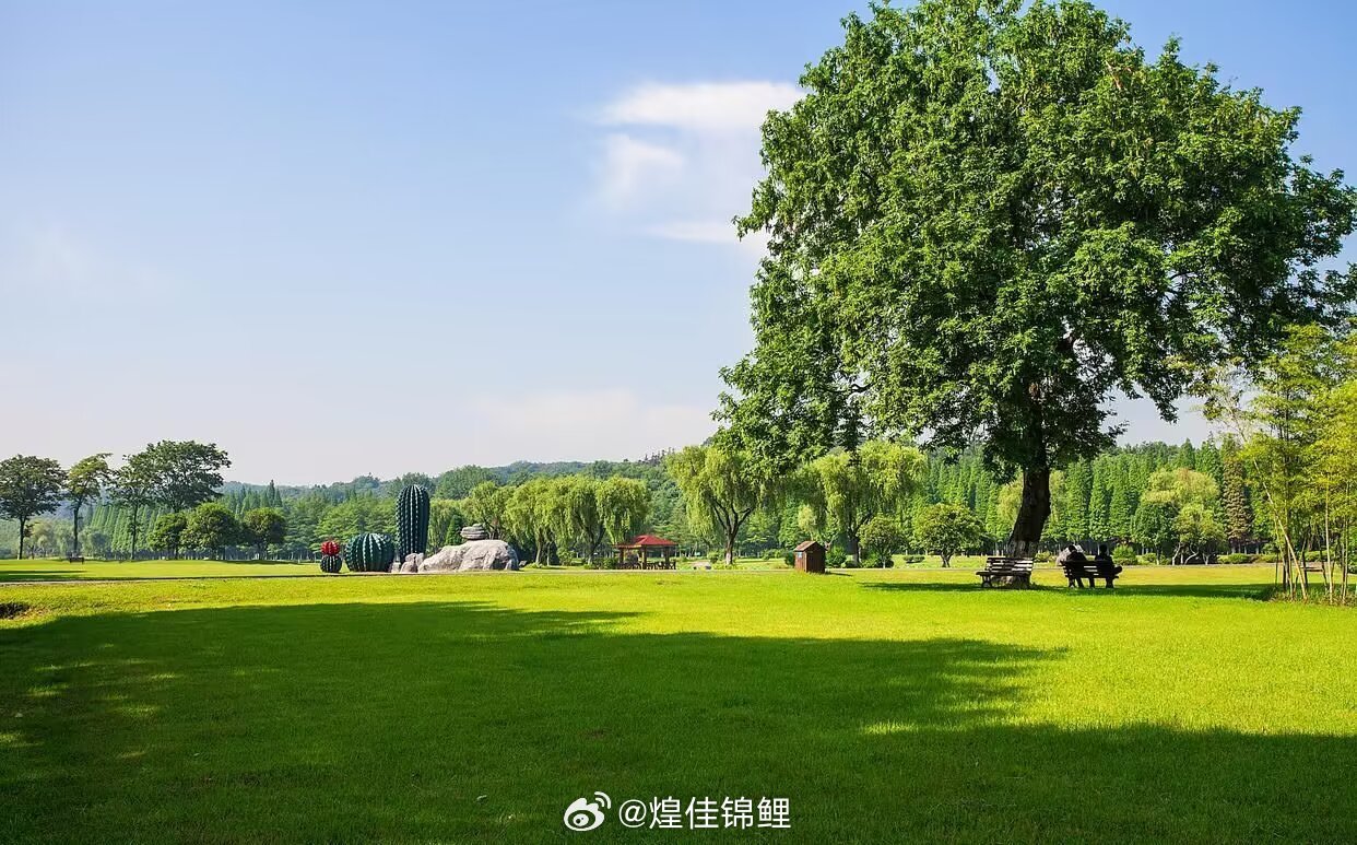 “人生没有重来，只有后来，可真正走到后来才发现，一切都已无法重来，所以别回头，回