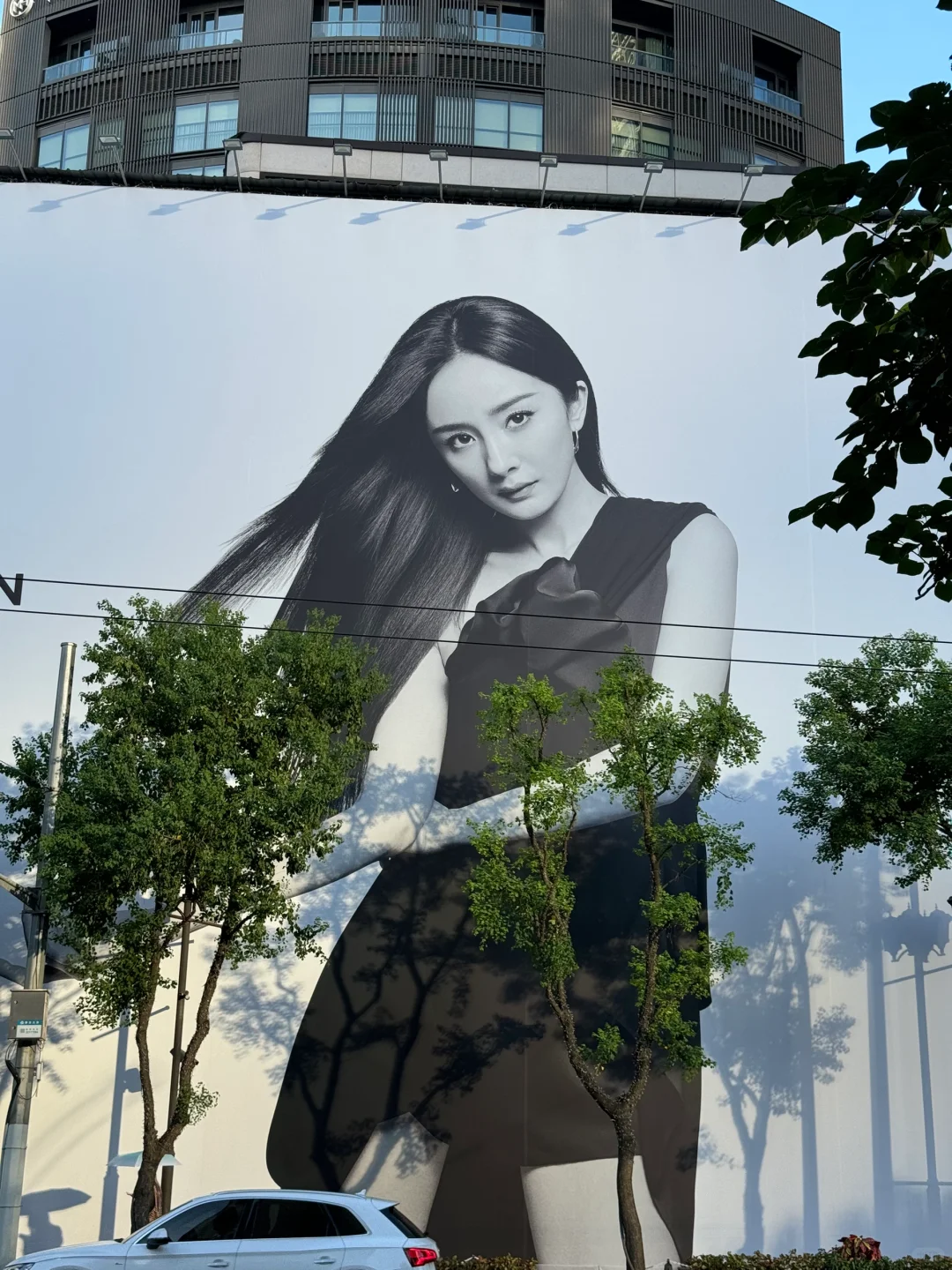 大幂幂jujuju美地广😍！！蜜蜂们快冲啊啊啊！！