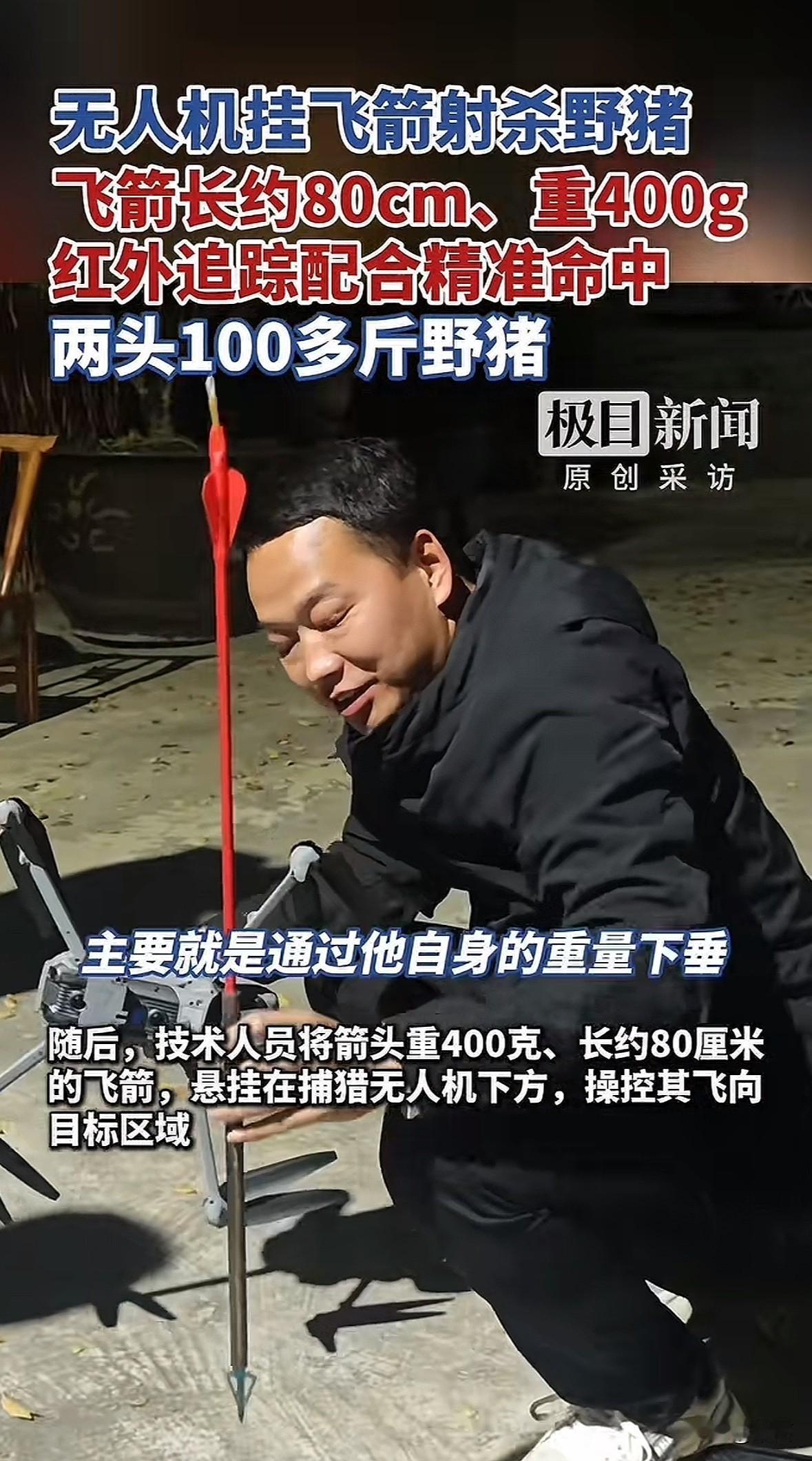 11月4日晚，十堰林业部门在张湾区黄龙林场试点无人机猎野猪，靠红外热成像锁定3头