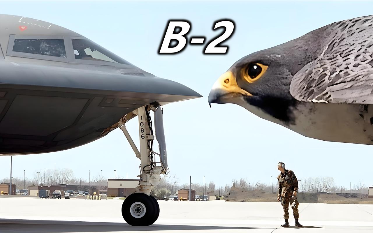 B-2隐身轰炸机：云端霸权的进化
B-2轰炸机，单机造价21亿美元，是人类历史上