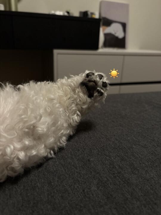 古德猫宁ฅ՞•ﻌ•՞ฅ