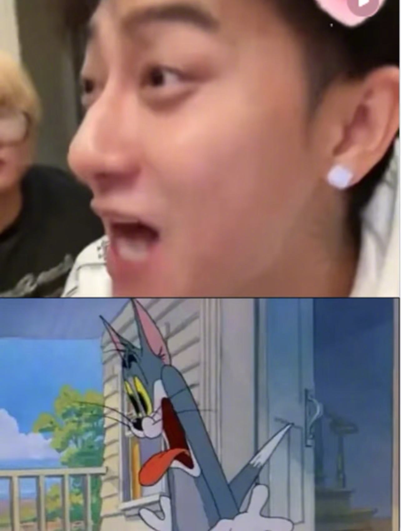 黄子韬😂一只行走的汤姆猫一样看起来不太聪明的样子一样满满好奇心的白磷型人格但是