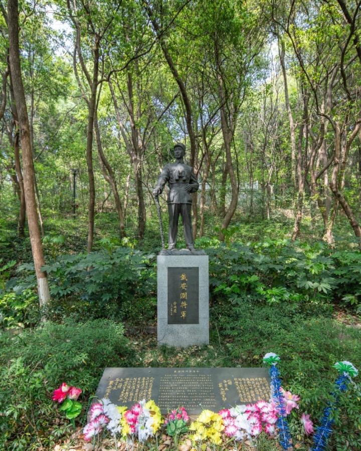 戴安澜将军：铁血忠魂 家国情深。戴安澜（1904年11月25日—194...