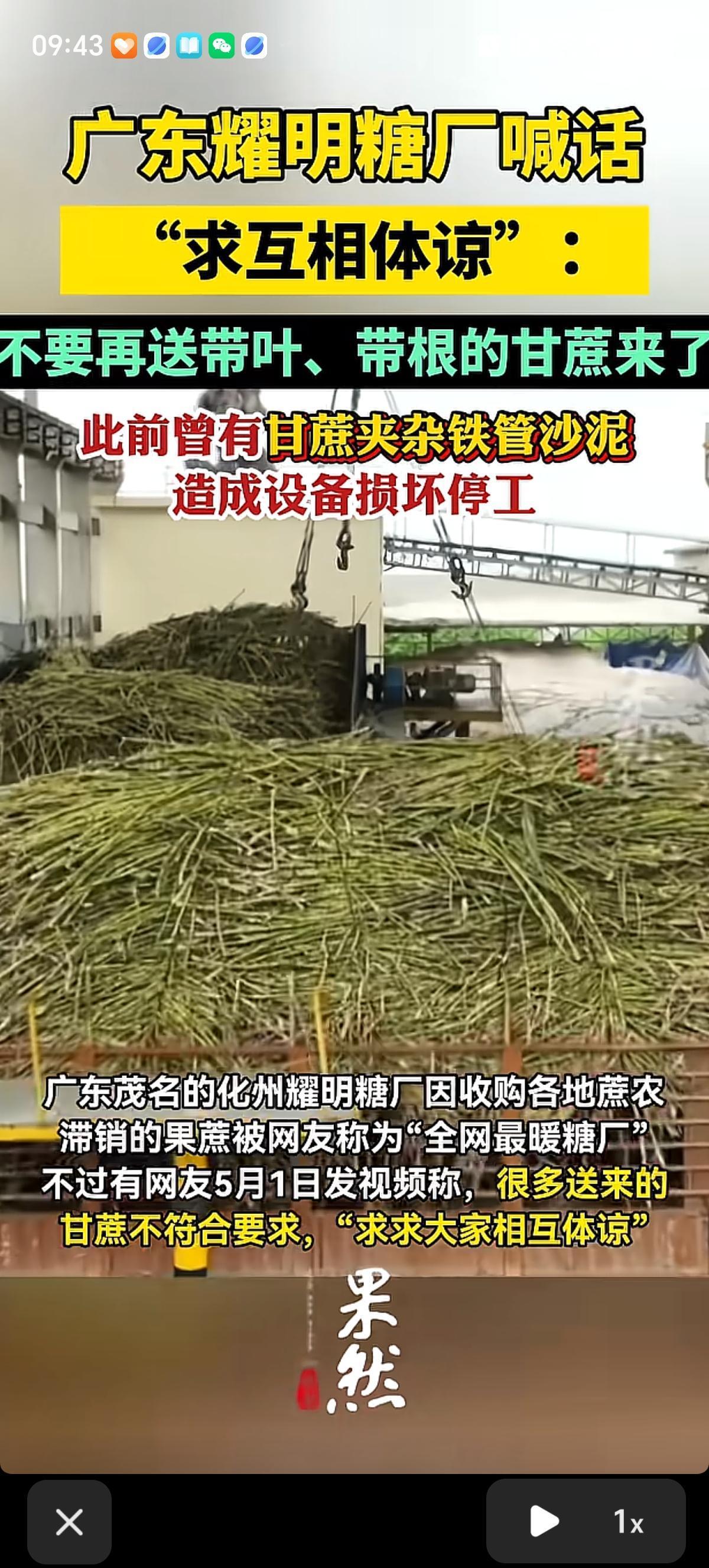 广东茂名化州耀明糖厂，本来因为收购蔗农滞销的果蔗，被网友夸成“全网最暖糖厂”。结