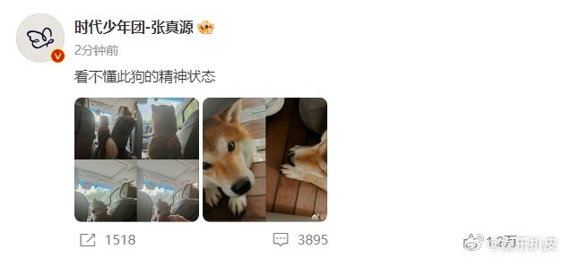 张真源：看不懂此狗的精神状态 ​​​🐶张真源老公你和呼安都可爱！💚🐶 ​​