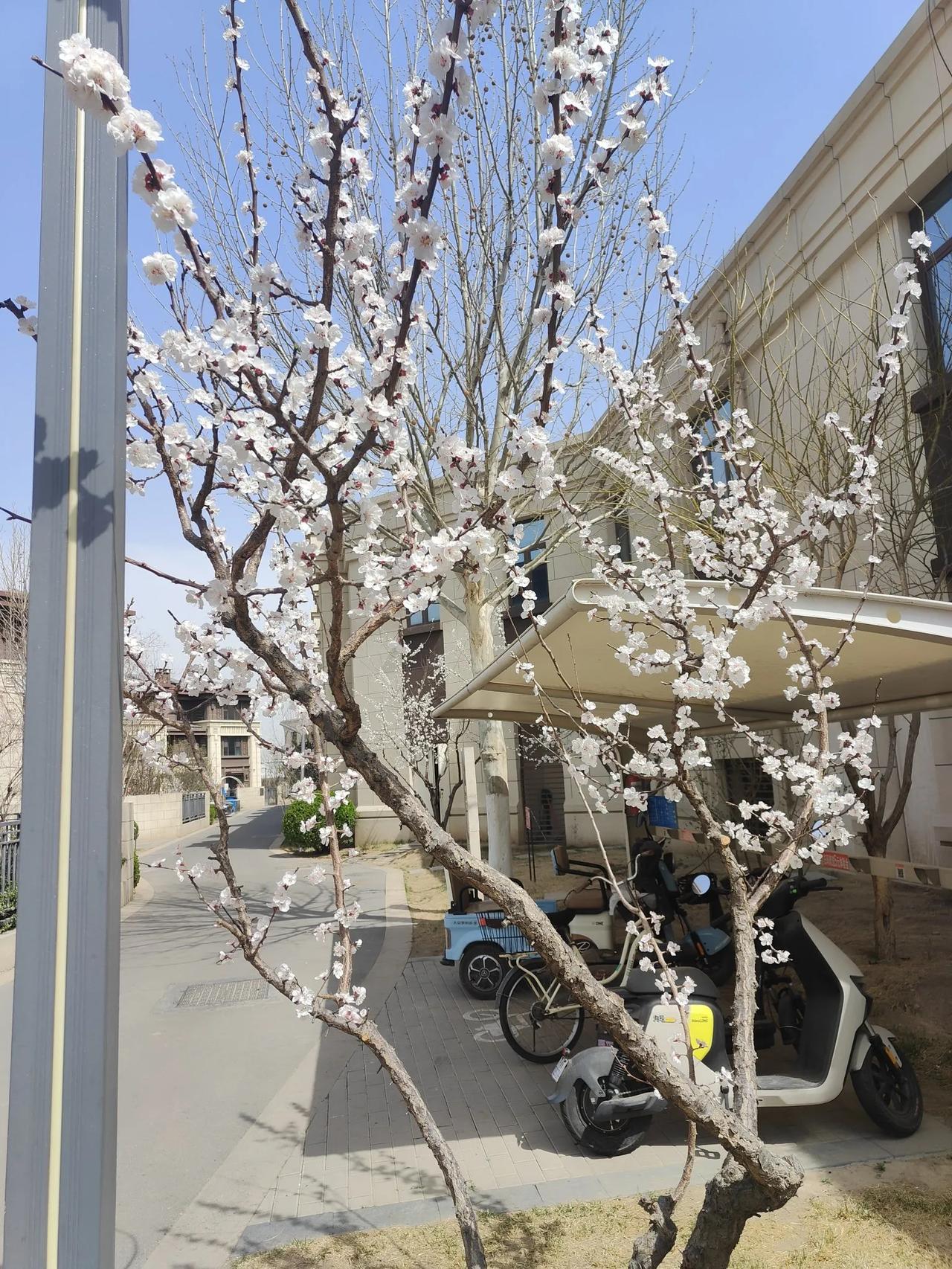 春日生活打卡季