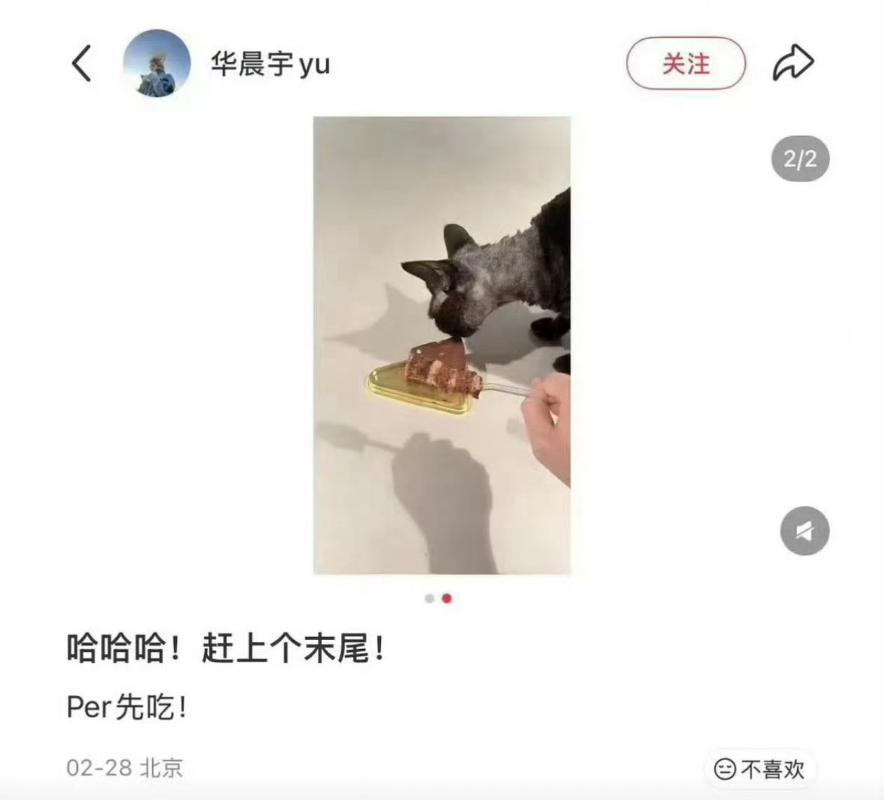 华晨宇喂猫吃巧克力蛋糕 本人都说了舔了一下下，粉丝怎么还说没吃到