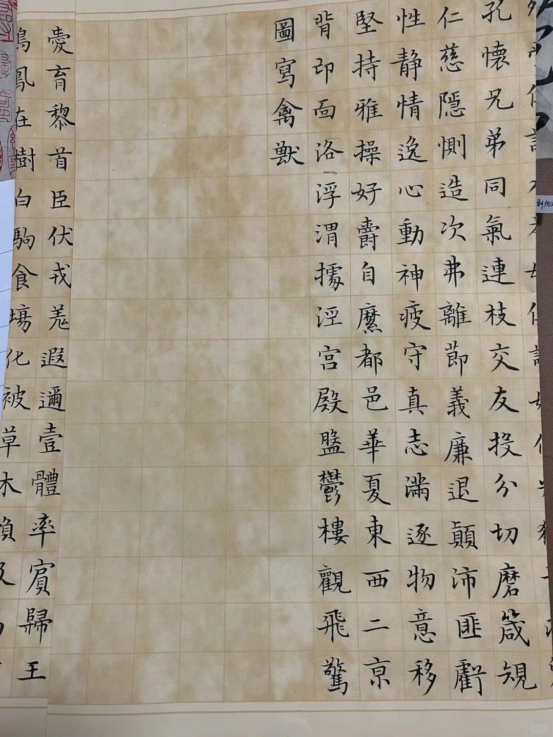 学员作业