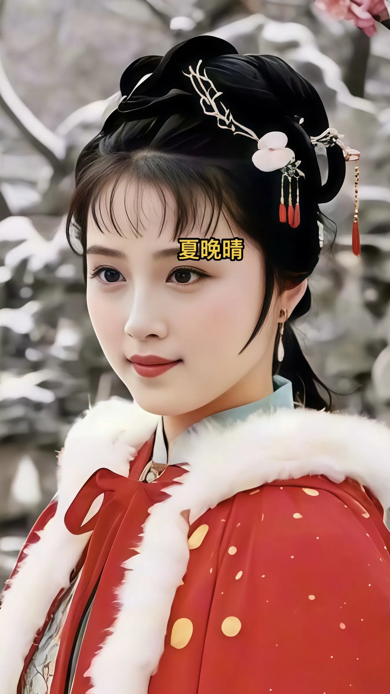 古风 古装造型  红楼梦人物仿妆 薛宝钗 林黛玉