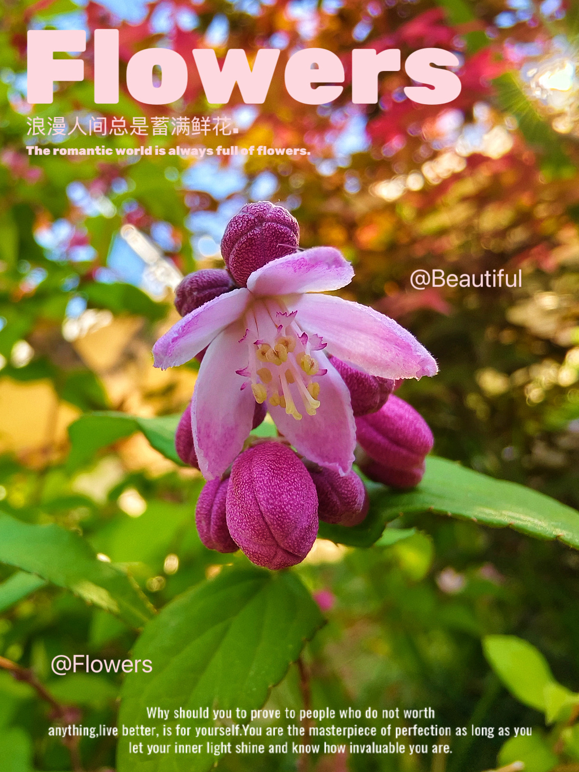 你的努力不必声张，时间会替你回答。今天只管认真吃饭，踏实走路，用心生活。好运，正