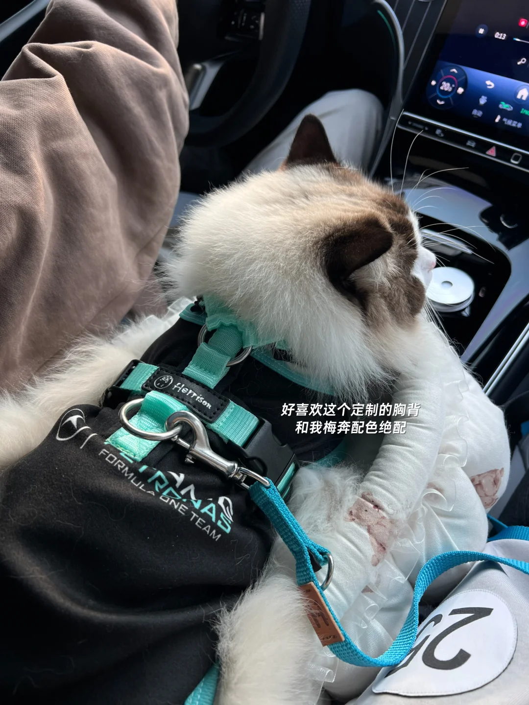 这周五寻上赛搭子🩵