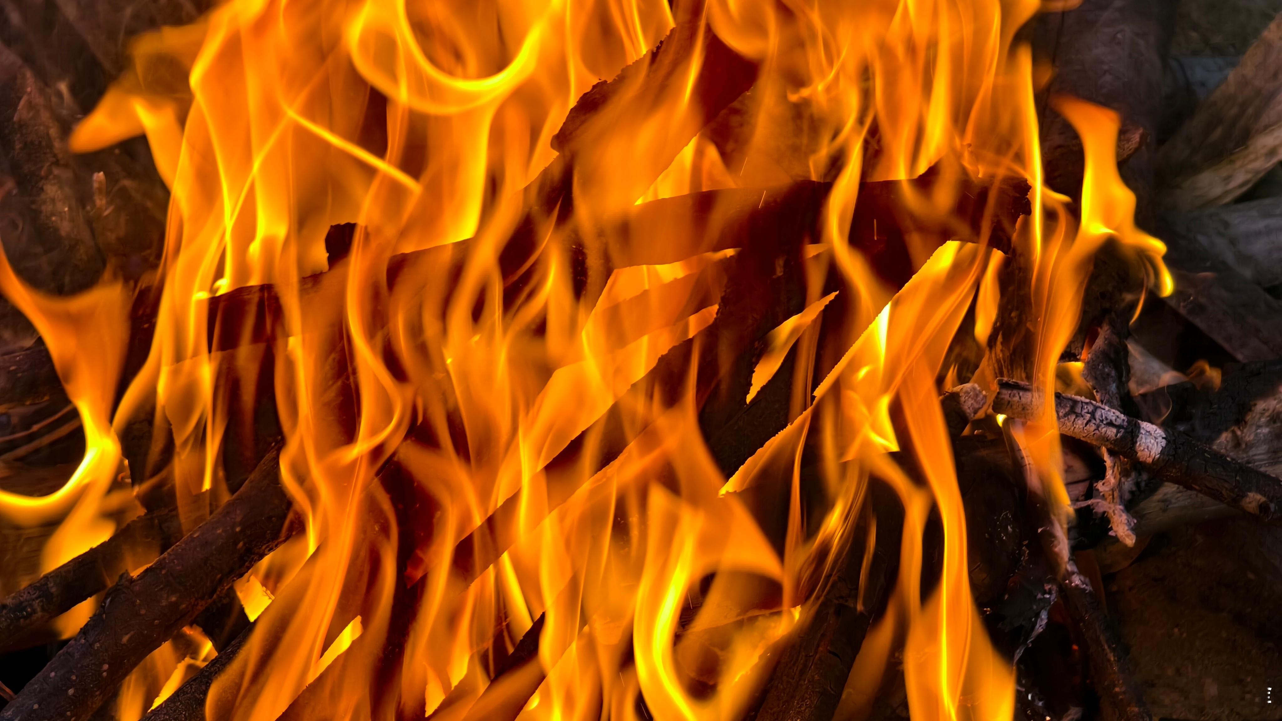 祝大家新的一年红红火火