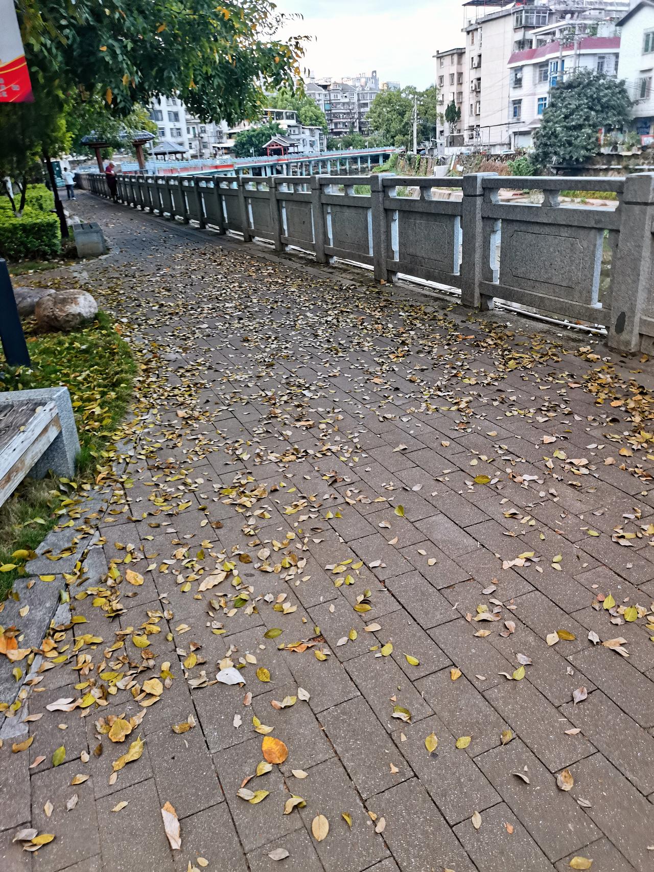 《七律～榕树换叶问禅师》

清明欲长嫩榕枝，
又是菩提换叶时；
谷雨遥连芳草地，