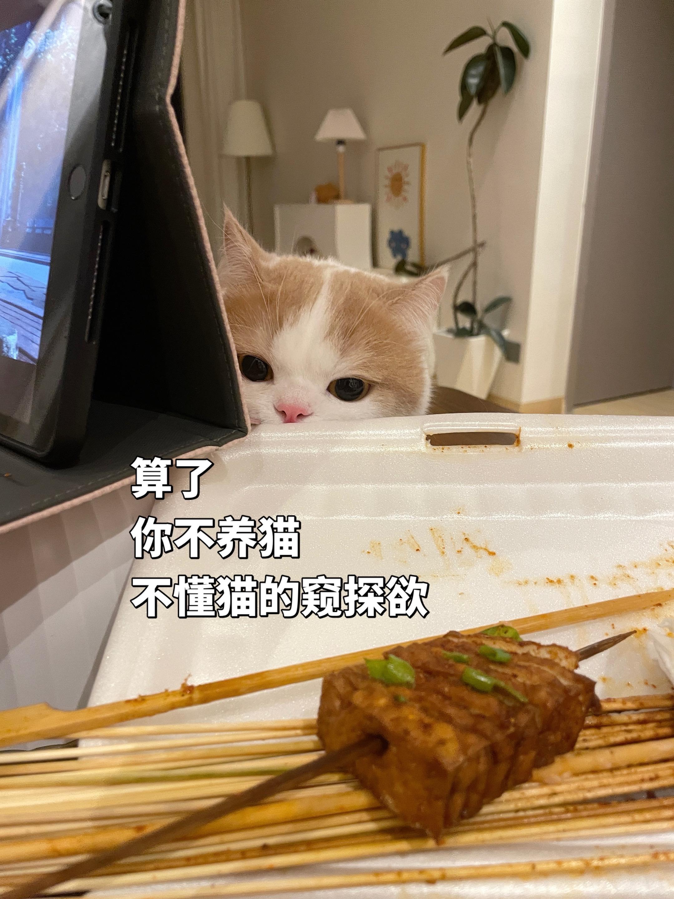 算了，跟你们不养猫的说不清楚。