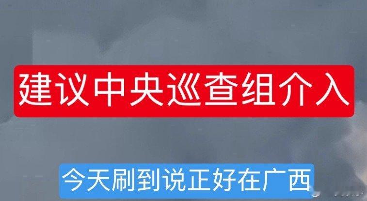 公安局长称奔驰女拿的证件是假的这个事要是一个普通人拿假证招摇撞骗的话，现在人都进