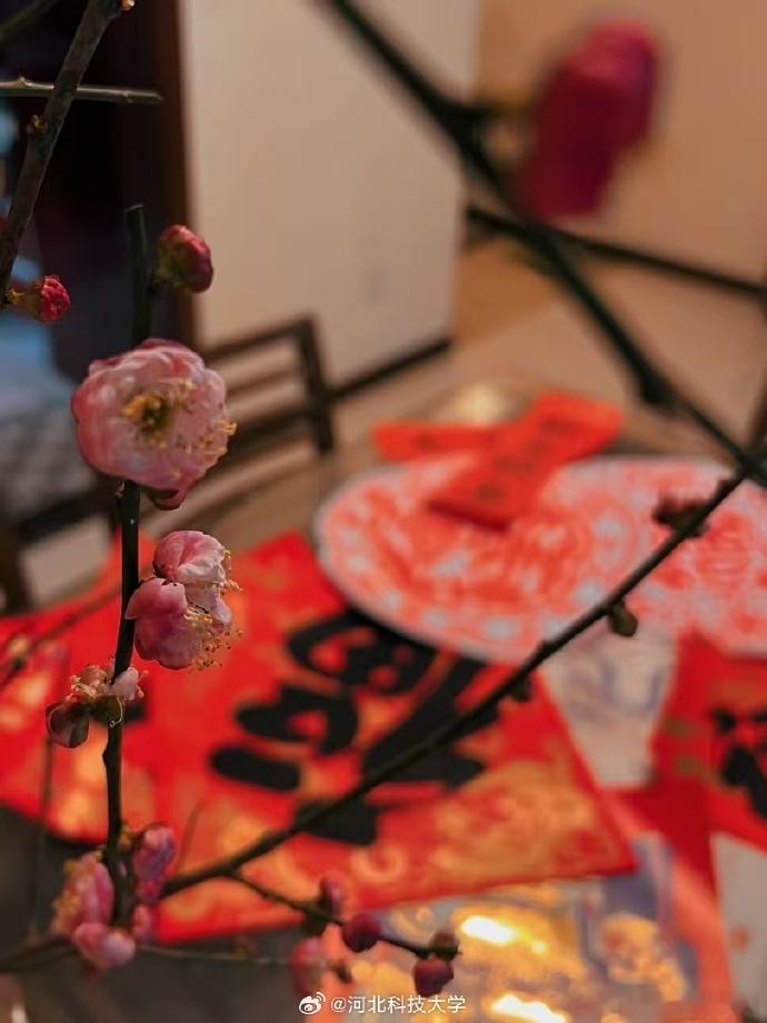 春节申遗成功后第一批受益者出现了  不只是国内很有过年的氛围，甚至在国外都弥漫着