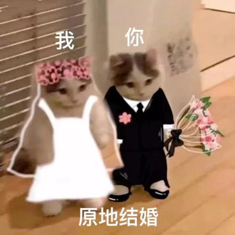 特别好玩的聊天表情包 