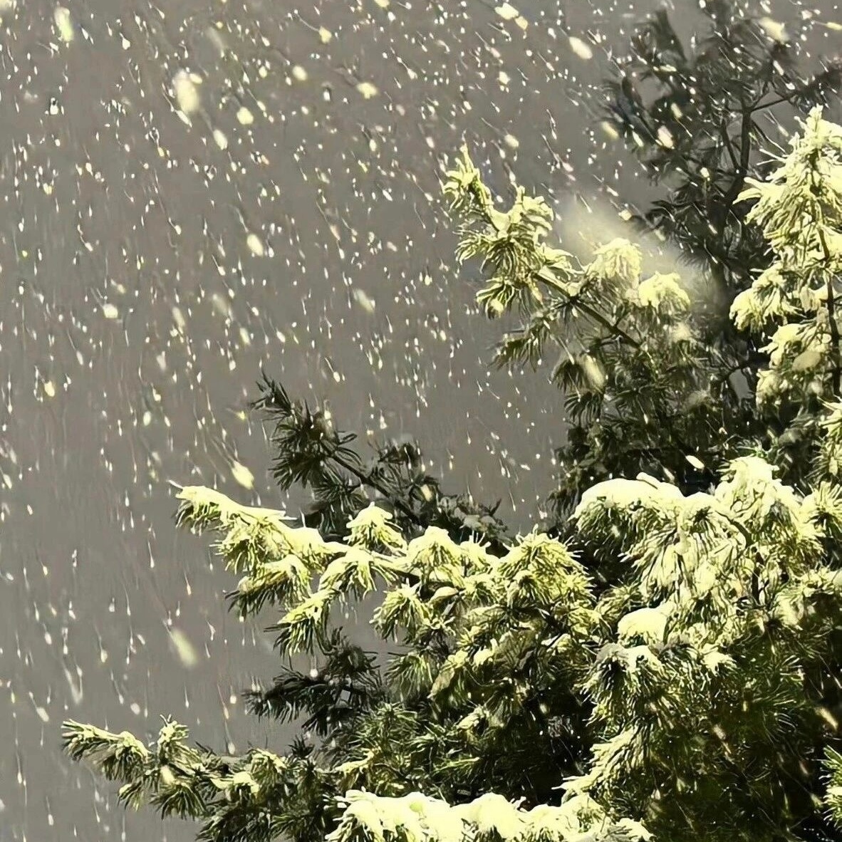 忘记是假的，记忆是无垠的海。以为早该尘封的片段，总在某个瞬间翻涌上岸。忘记从不是