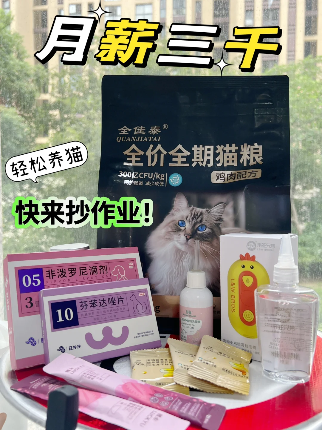 猫猫新手大合集！看着一篇就够啦～