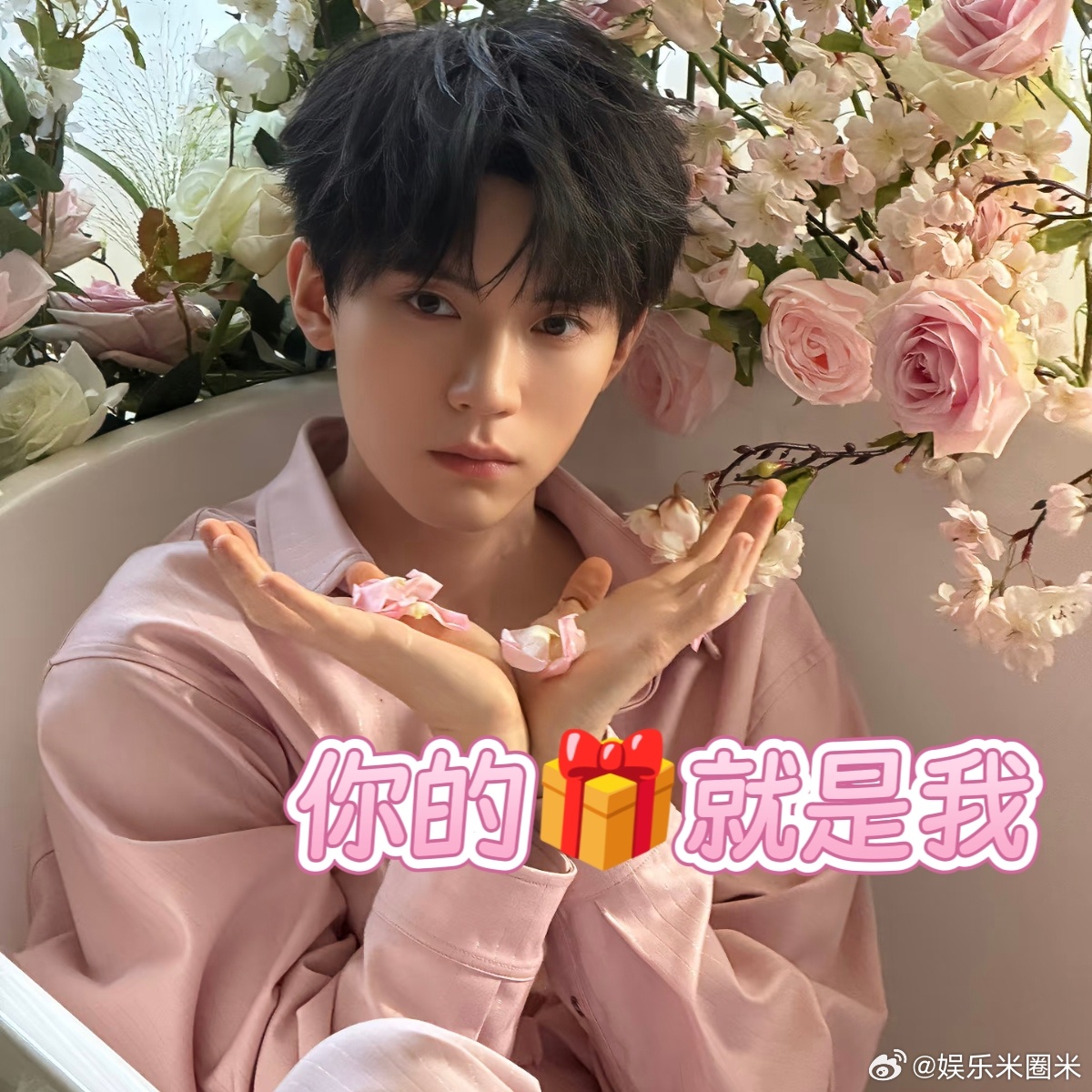 😌小猫吵架 小猫和好带着小脾气彼此僵持片刻，一份精心准备的惊喜悄然送达，无需过