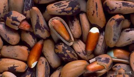 11月23日，首批中国货物通过铁路到达阿富汗马扎里沙里夫，10月31日从上海启发