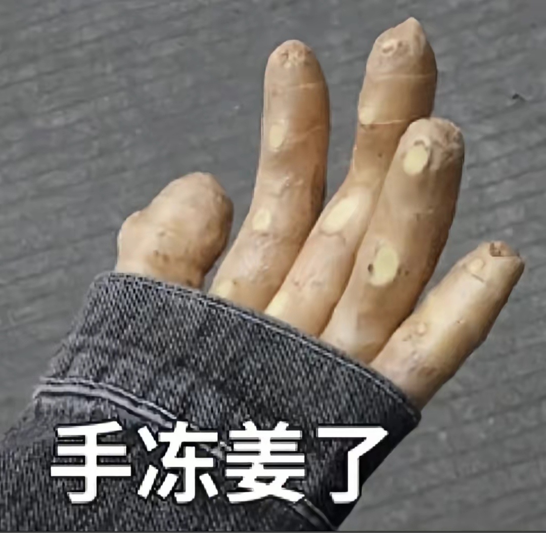 我的手在被子外面要被冻僵了 