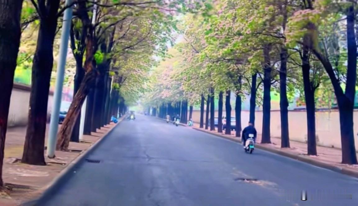 跟随时代的步伐，我们不断进步，迎接未来的无限可能。