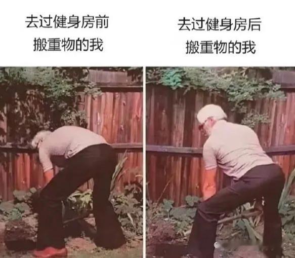 蜀黍是有练过的[嘻嘻][嘻嘻][嘻嘻] 