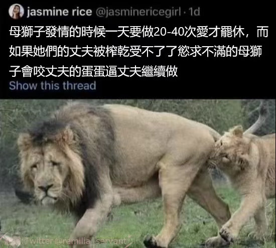 认知热点解读 短视频时代解释了古时宦官得宠的原因：他们为皇上提供了最多情绪价值。