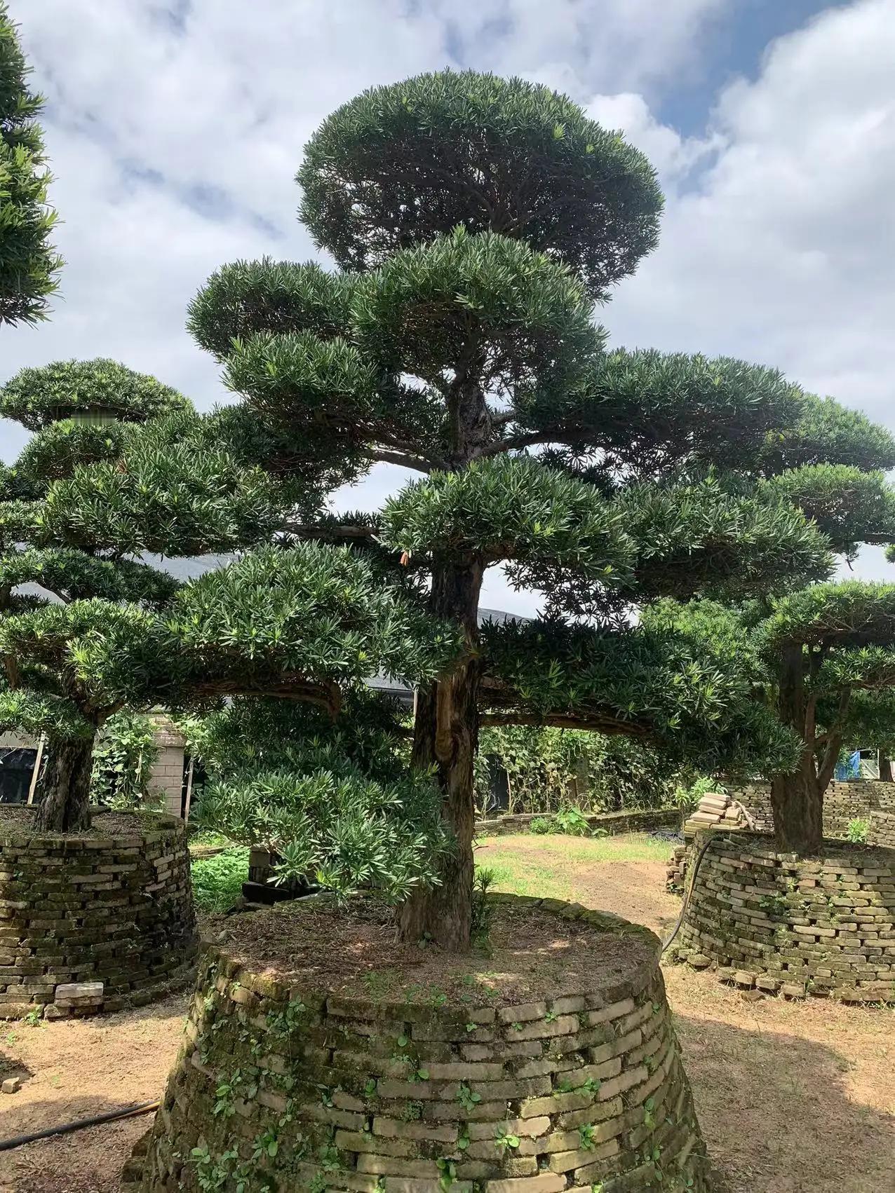 人生中什么才是治愈自己的一切良药？对我来说，治愈自己的良药从不是什么惊天动地的大