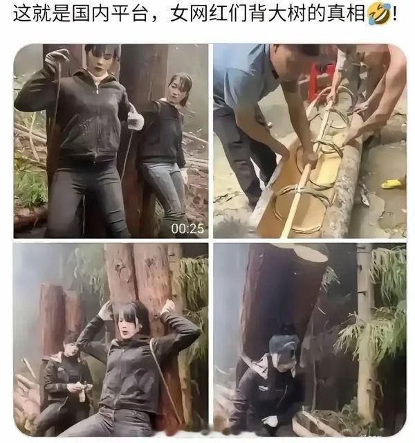 现在你还相信网红吗？ ​​​