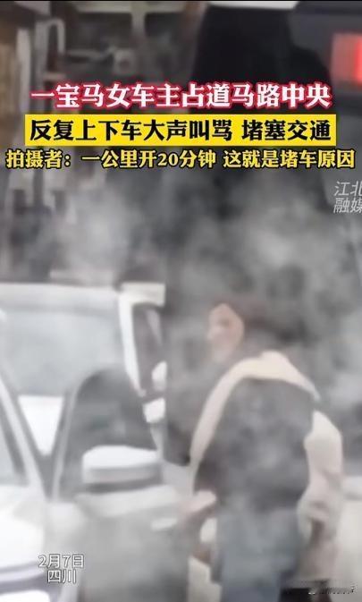 真豪横！宝马女司机在路中央停车购物，导致整条街被堵，不听劝阻反而怒怼他人。
2月