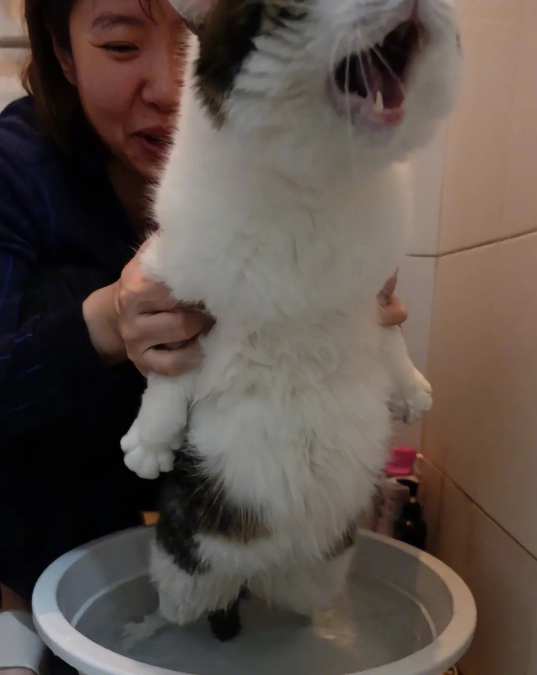 对于洗澡这事，满脸都是拒绝！！