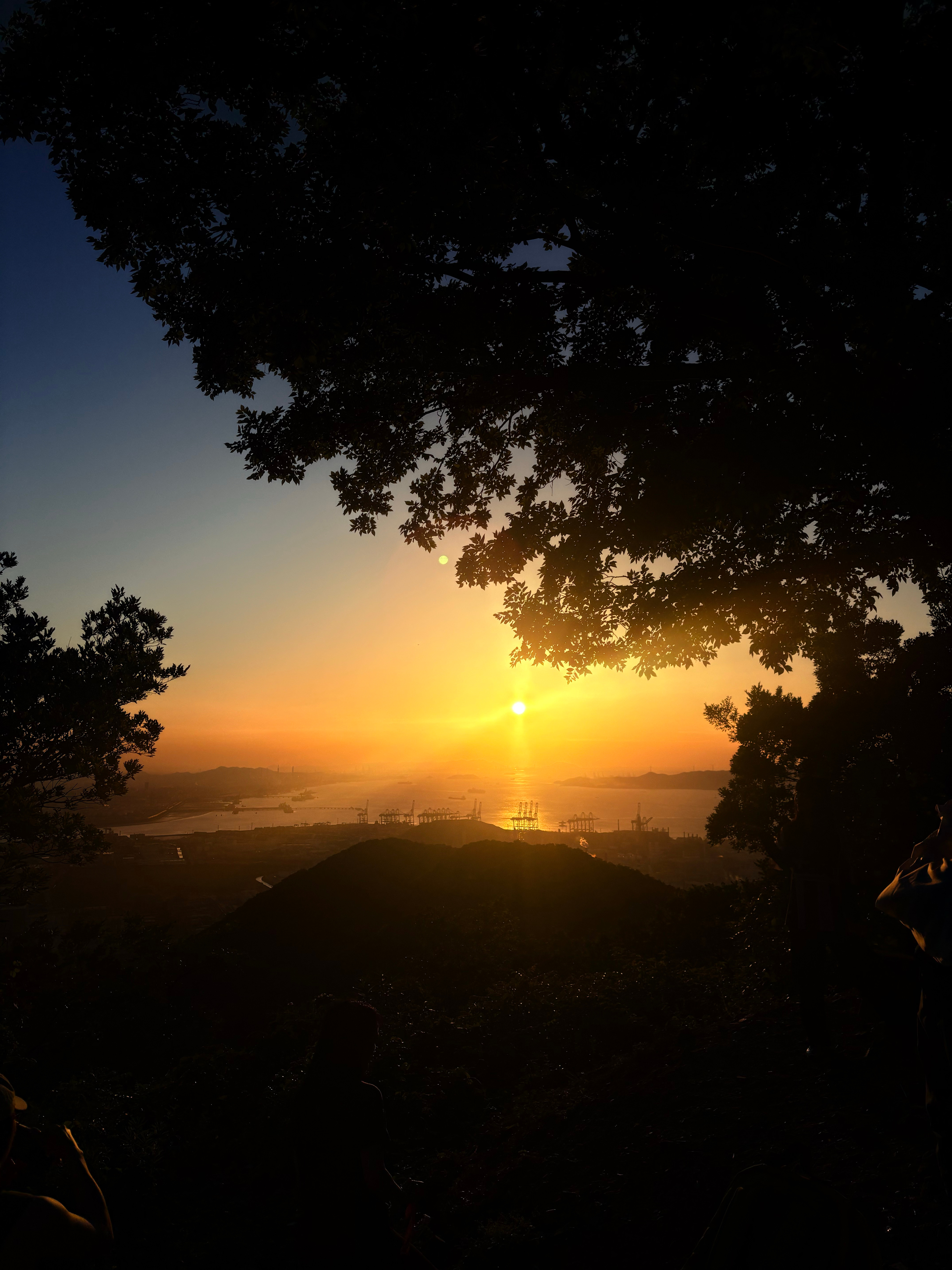 夕阳无限好 