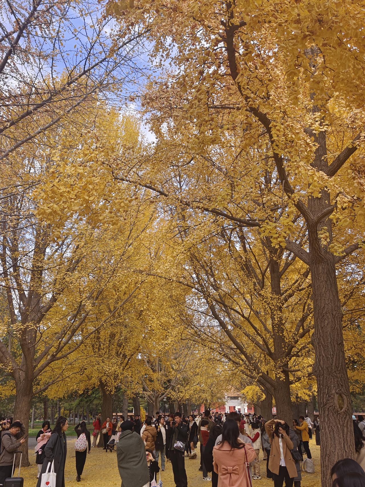 冬日生活打卡季