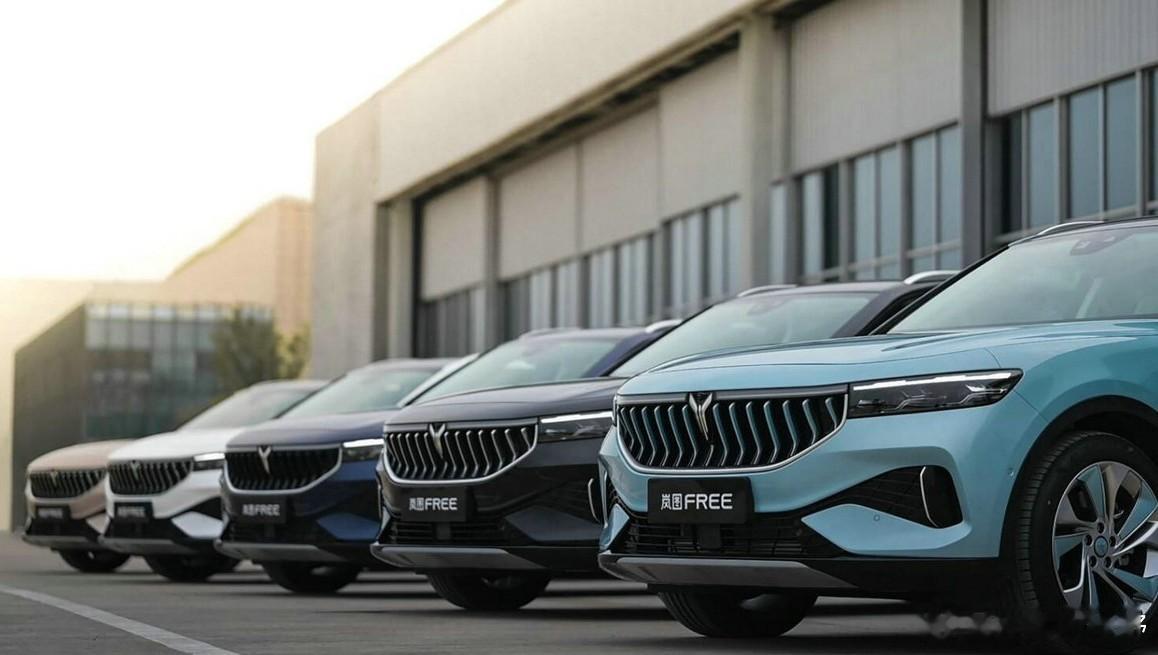 岚图汽车建议实施H股全流通，连续大动作意欲何为？4月14日，岚图汽车科技股份有限