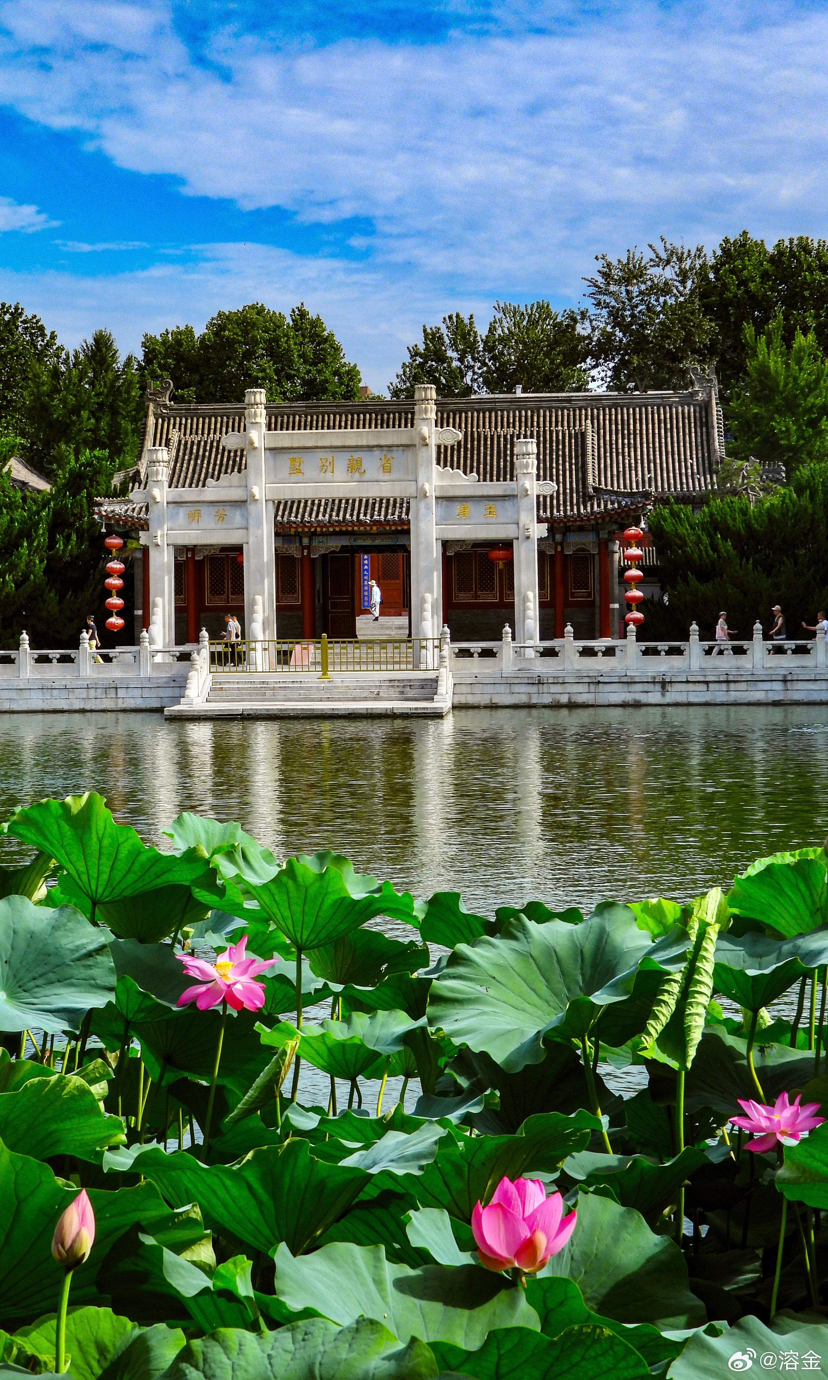 【北京大观园】朱檐凝暑气，碧沼绽芳妍。翠盖浮清波，红蕖映画筵。石桥涵古韵，深院隐