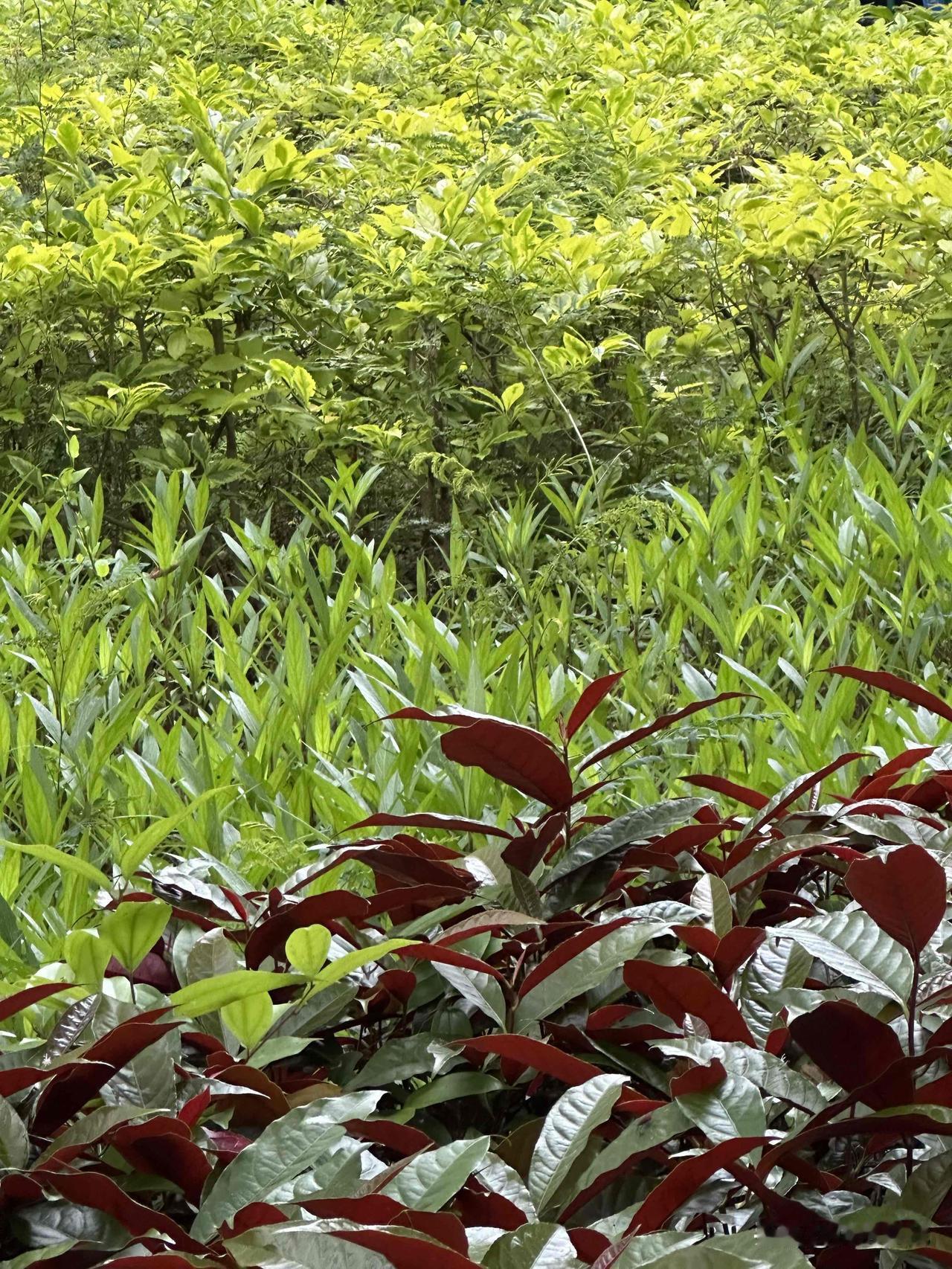 随拍。