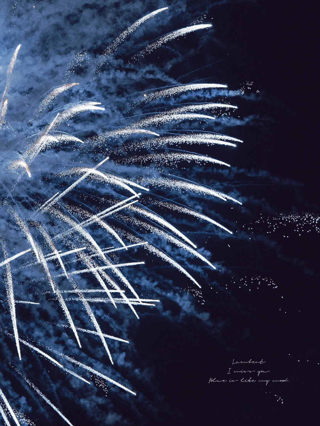 那是盛开的花🎆在那一瞬间的永恒里✨