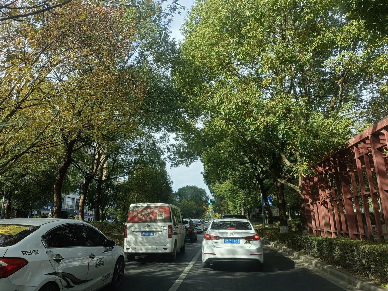 中午的绵阳天气晴朗。入冬以来，近段时间大家明显感觉冷起来了，温度始终在十度上下。