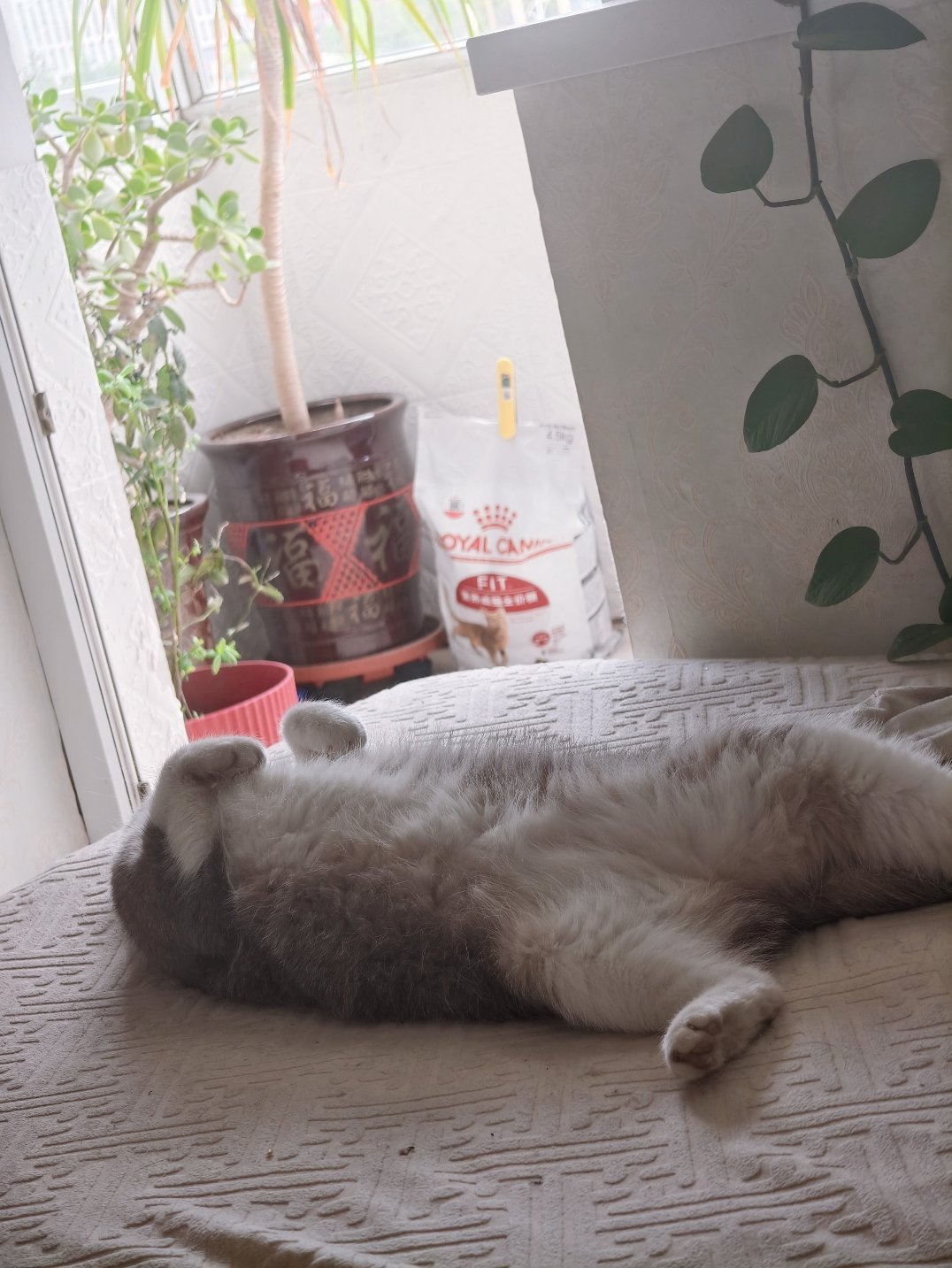 睡美了