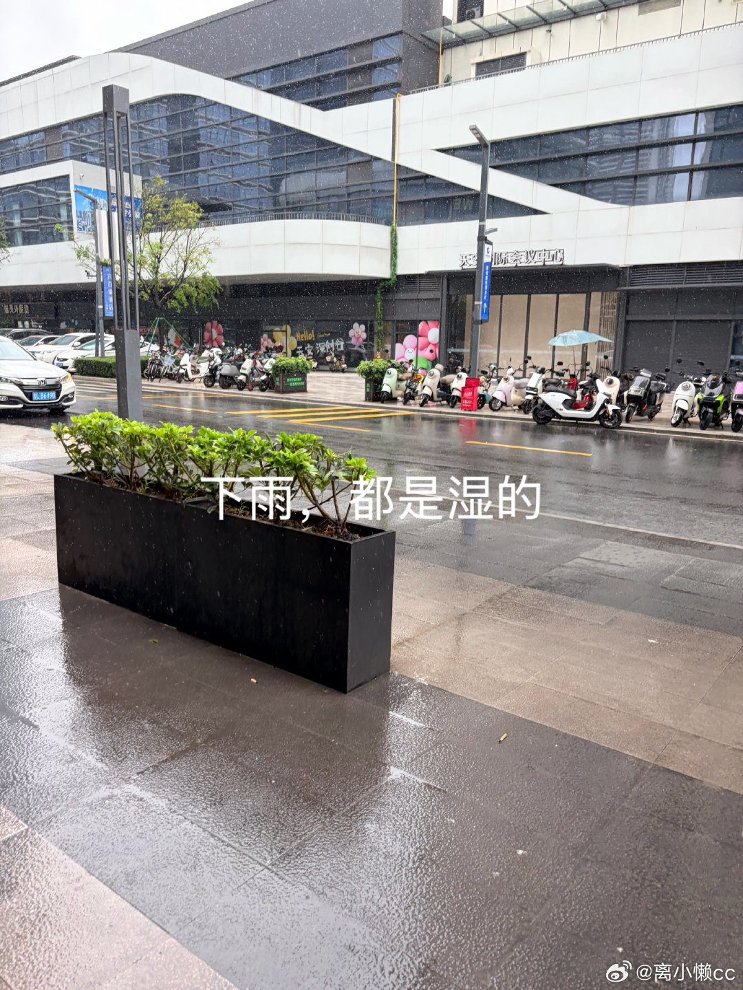 早上带娃下楼去买早餐，到了楼下才发现下雨了🌧️过一会儿雨停了就去买了早餐，顺便