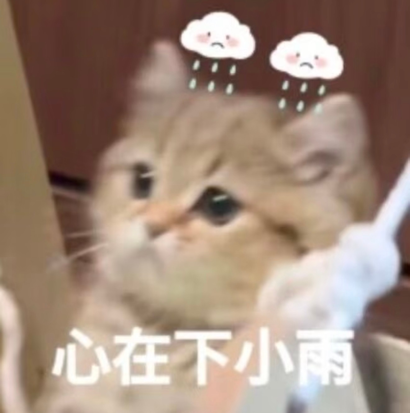 朵姐说老有人给她寄东西🎁好喝的牛奶🥛、收纳包、面膜、睡衣！我说：是我买的！她